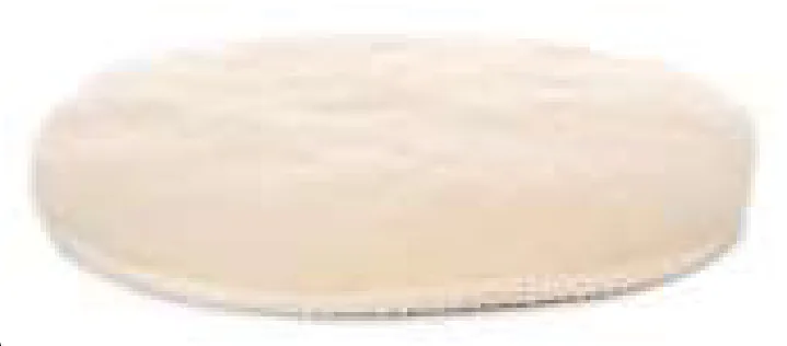 Plato para Tampon 100 mm M14
