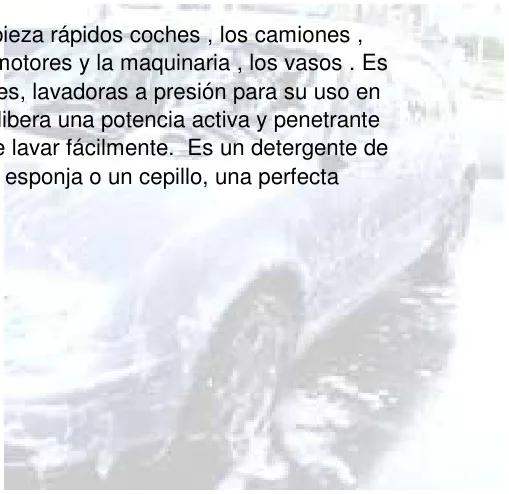 Desengrasante Carrocerías Plus 25 Litros
