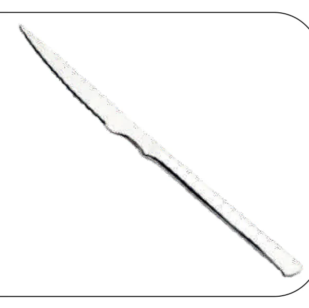 CUCHILLO CARNE FILETE