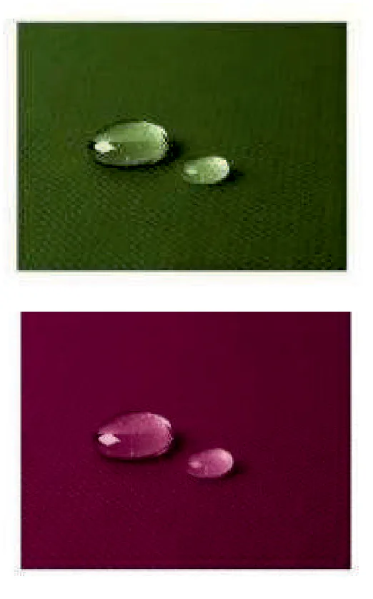 ROLLO MANTEL PLASTIFICADO